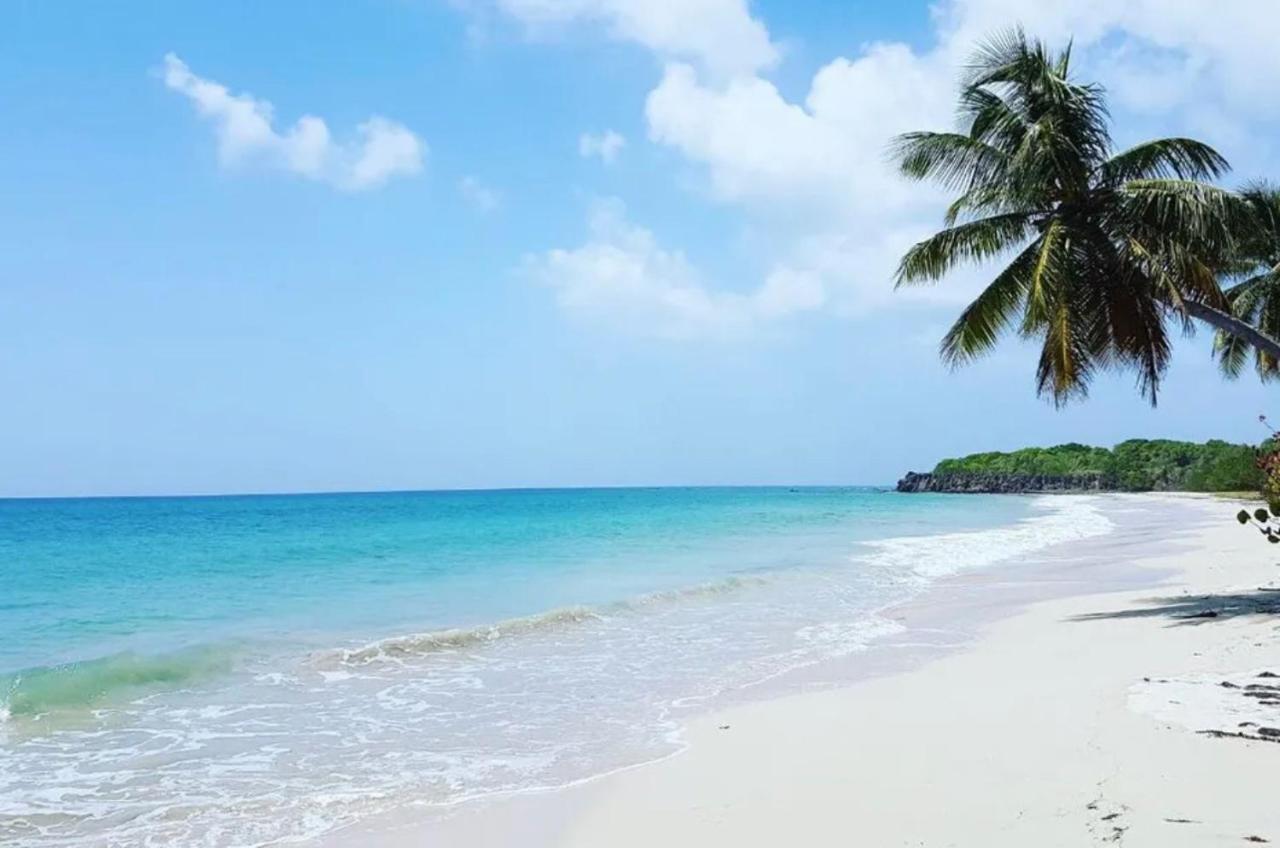 - Les Pieds Dans L'Eau A 50M De La Plage, Cote Mer Caraibe - Domaine De L'Anse Caritan - Sainte-Anne - Exteriör bild